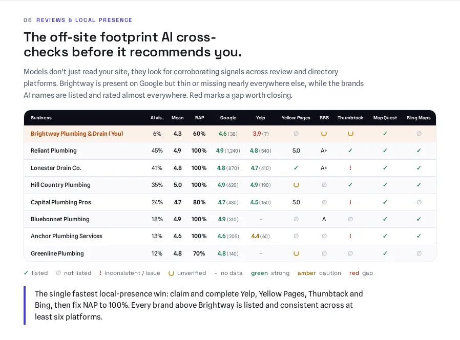 Plastorium sample report comparing AI visibility, reviews, NAP consistency, and directory presence across a business and its competitors